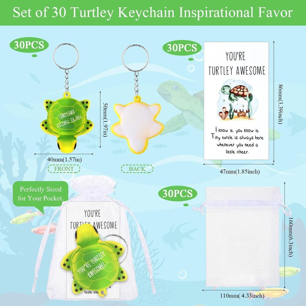 6163 30 Pcs Employee Appreciation Gifts Inspirational Turtle Keychains Bulk - Picture 2 of 6